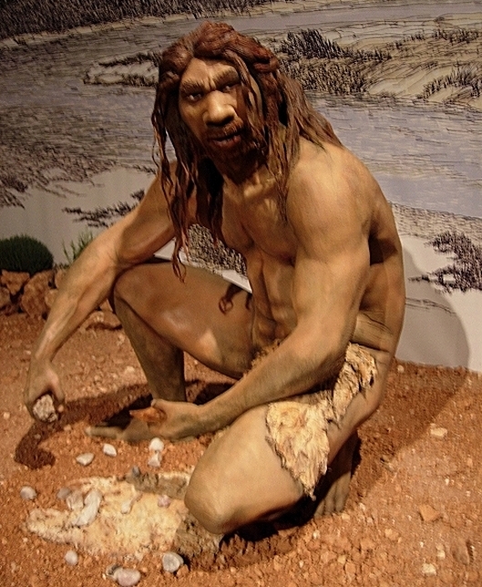 Homo heidelbergensis, Forma pośrednia pomiędzy Homo erectus a Homo neanderthalensis